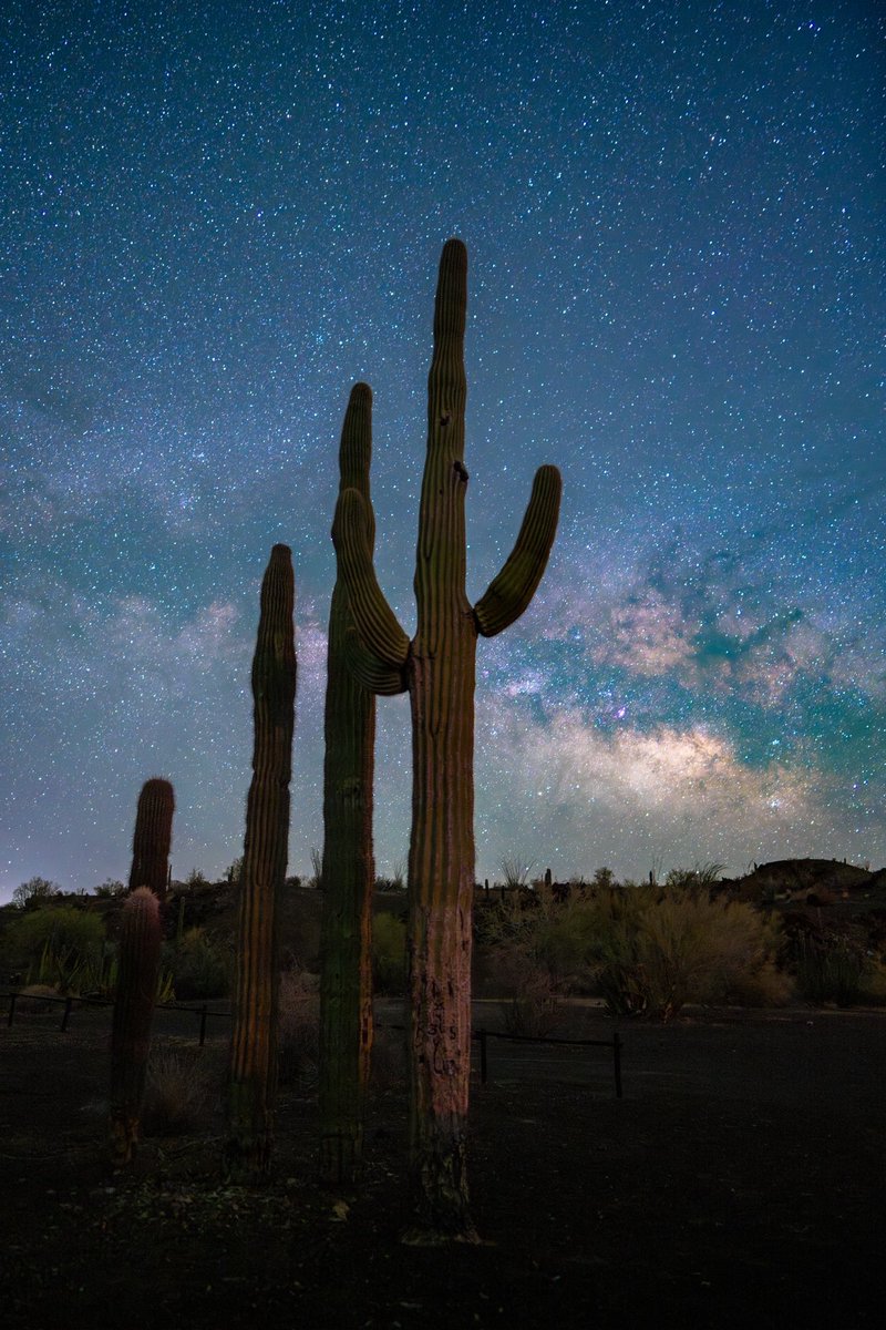 GGerardox2's tweet photo. Así más o menos es acampar en la Biosfera “el pinacate” y el gran desierto de Altar. 
SONORA🌵❤️ https://t.co/PtvCG7rIf3