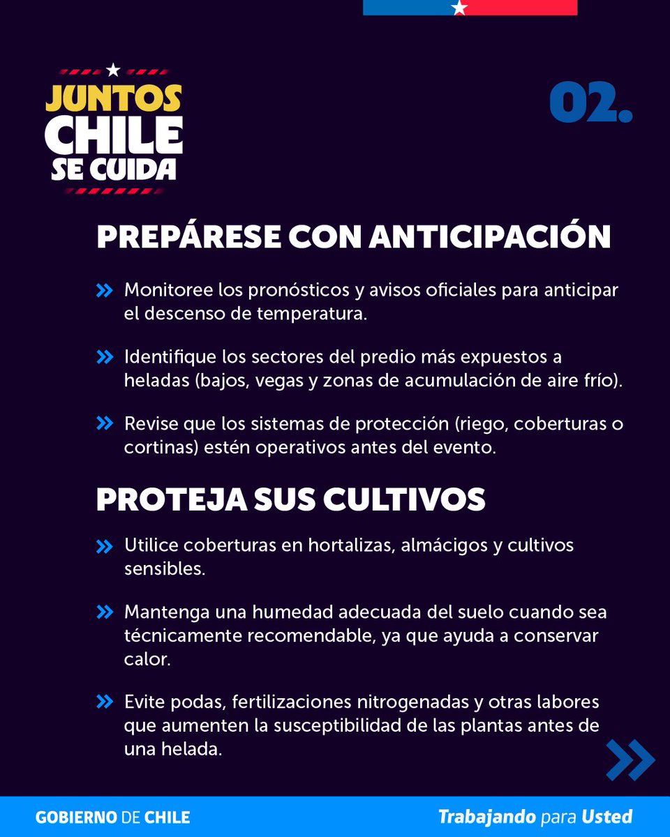 MinagriCL's tweet photo. Ante el pronóstico de heladas para este martes 11 y miércoles 12 de agosto, en las regiones de Maule, Ñuble y Biobío, te entregamos las siguientes recomendaciones elaboradas por la Unidad de Gestión de Riesgo de Desastres Agrícolas (UGRA) para proteger cultivos y sistemas productivos.

📲 Mantente informado sobre las alertas de heladas a través del Sistema de Alerta Temprana de @Agromet_RAN