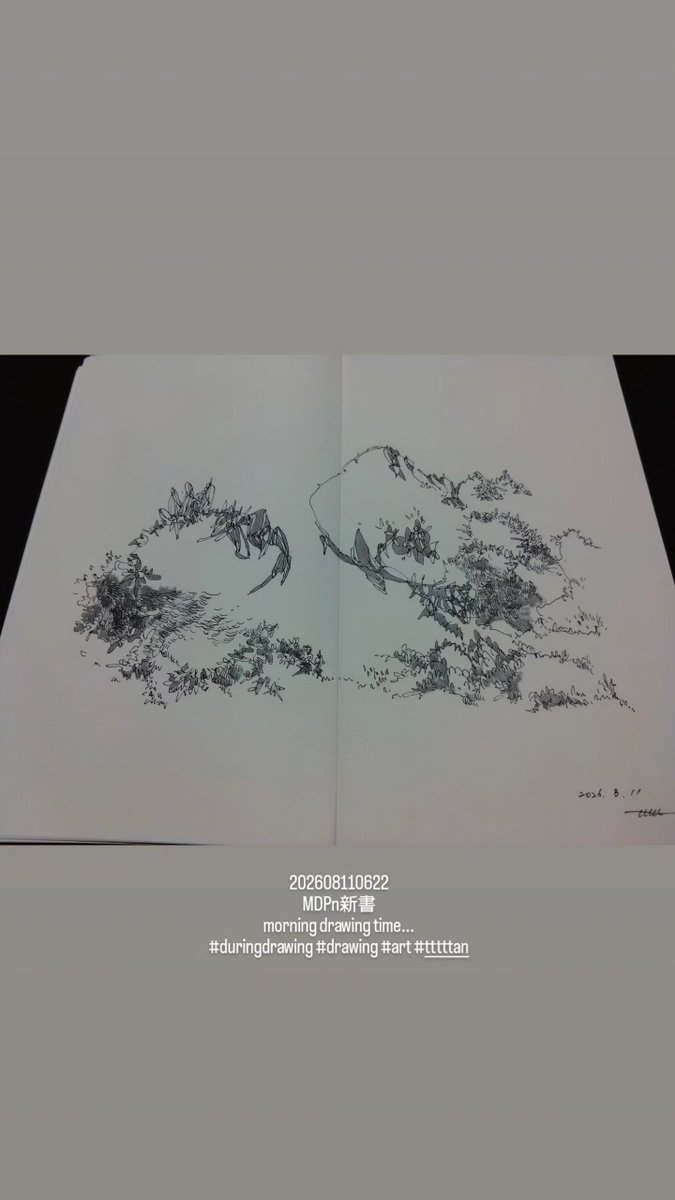 202608110622 MDPn新書 morning drawing time #duringdrawing