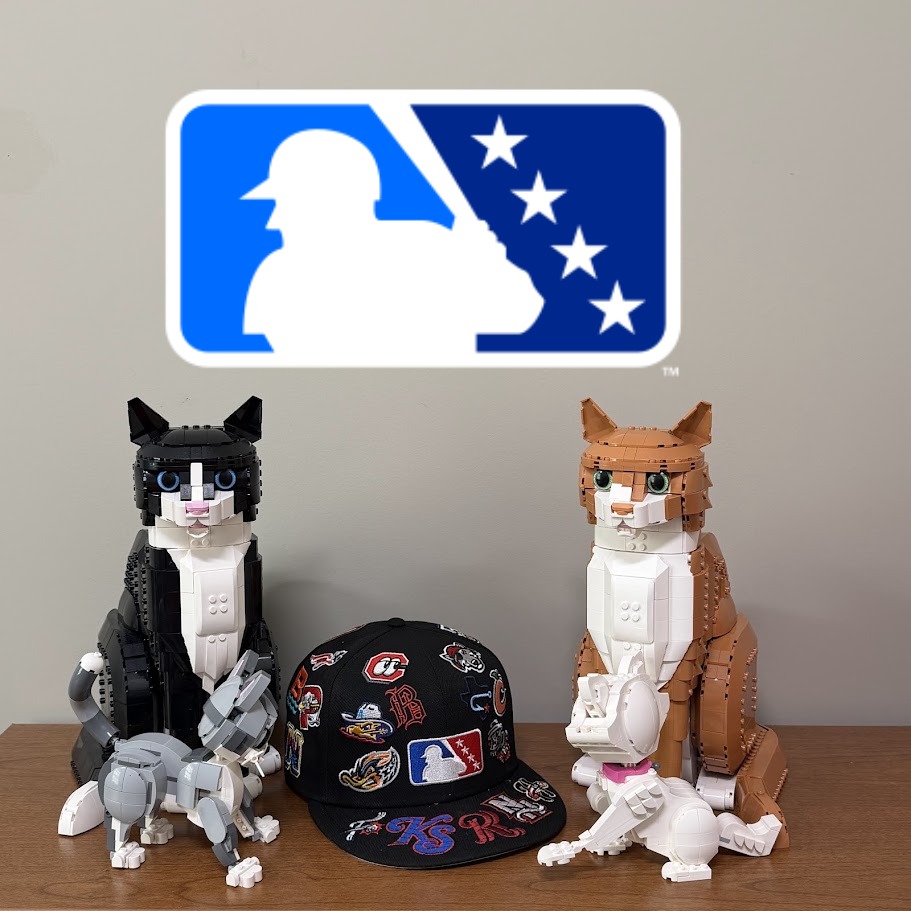 hatstorm's tweet photo. Today's #HatoftheDay, with my full clowder of Lego cats, is an MiLB cap featuring all 30 AA teams!

Combined with my shirt that features all 16 teams from this season's NBC World Series, I am wearing logos from 46 teams right now 😂

@MiLB @milbfanclub @NBCBaseball https://t.co/0m71aeFEBp