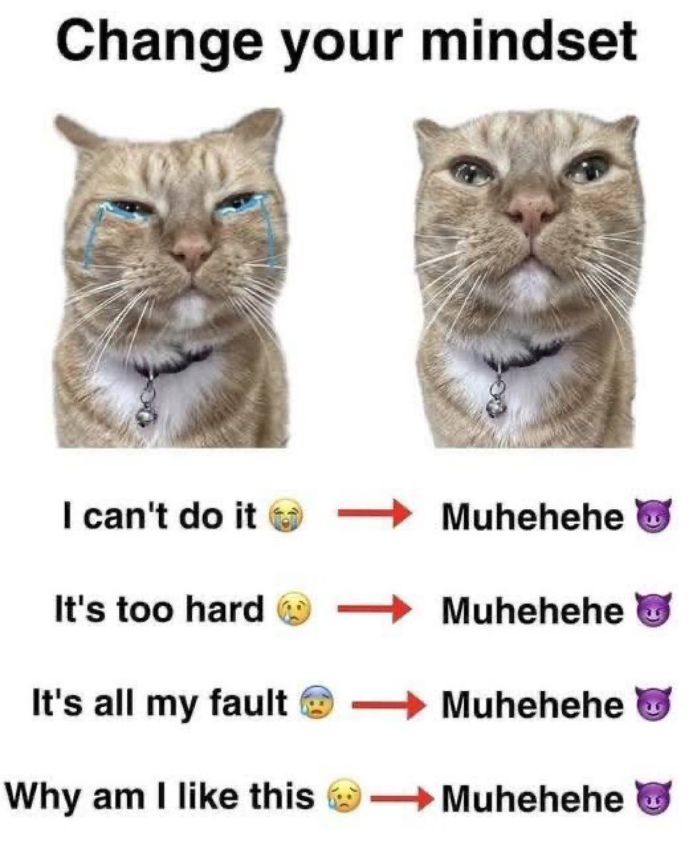 MemesUpMyAss's tweet photo. https://t.co/hmHU945yyq