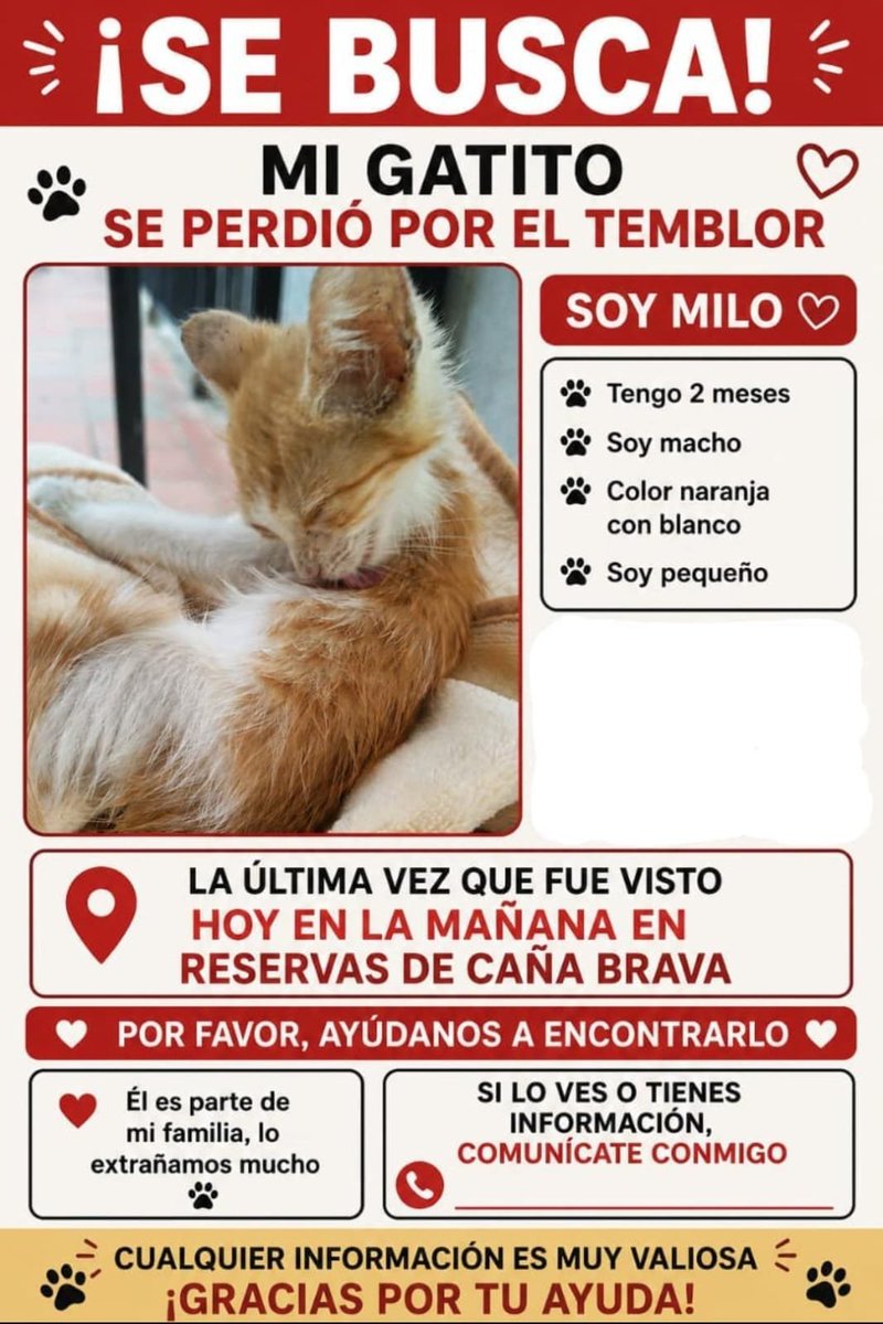 kooklovc's tweet photo. te extraño milo, vuelve a casa q mami te necesita :( https://t.co/BKQO4Tm7vC