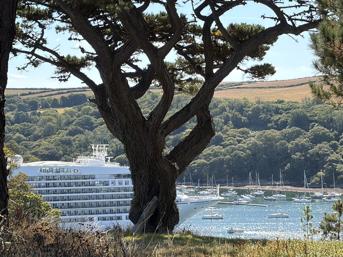 PatWilliams18's tweet photo. Surely one of the nicest views from a GP surgery car park #Fowey #Cornwall #cruiseship https://t.co/Cf8eKmoz8R