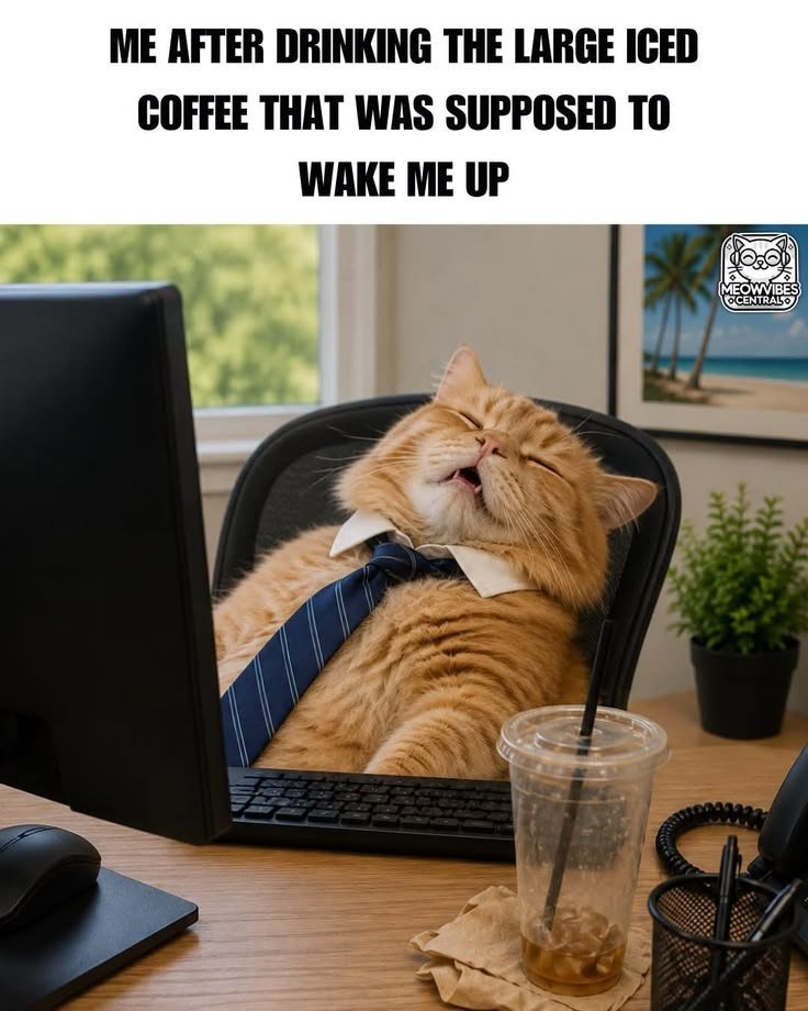 OGTimeCat tweet picture