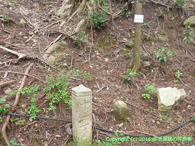 arukihenronosya's tweet photo. Counting the Chōseki as I climb the tough mountain trail.
🚶 Route 19-20
🔗 Read this section
https://t.co/APrCZbqqCg
📍 Katsuura, Tokushima
#ShikokuPilgrimage #Henro #WalkingPilgrimage #JapanTravel #Pilgrimage #HikingJapan #Tokushima #Katsuura #徳島県 #勝浦町 #勝浦郡 https://t.co/OARKUBaaGV