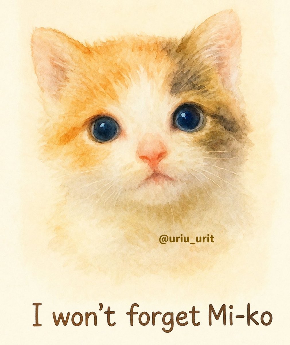 MaleficentLady's tweet photo. @sugar7150628530 @qwert555551ip 😭😭😭 RIP Miko 😭💔 #justiceformiko #justiceforfireball #justiceforcowcat #EndCatTortureInChina #EndKittenTortureInChina https://t.co/MXBQ9tAY08