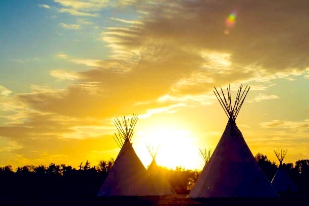 Native3rd tweet picture