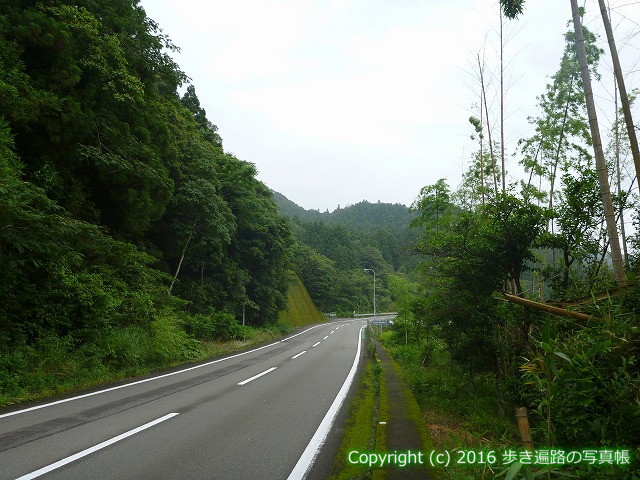 arukihenronosya's tweet photo. 同じ風景に見えますか？　多くは普通の道です
🚶 23番 薬王寺 ～ 24番 最御崎寺
🔗 この区間の記事はこちら
https://t.co/ZuudvPNV7d
📍 徳島県海部郡美波町
#徳島県 #美波町 #遍路 #日本の風景 #Tokushima #Minami #海部郡 #お遍路 #四国八十八ヶ所 https://t.co/la9U5a87UI