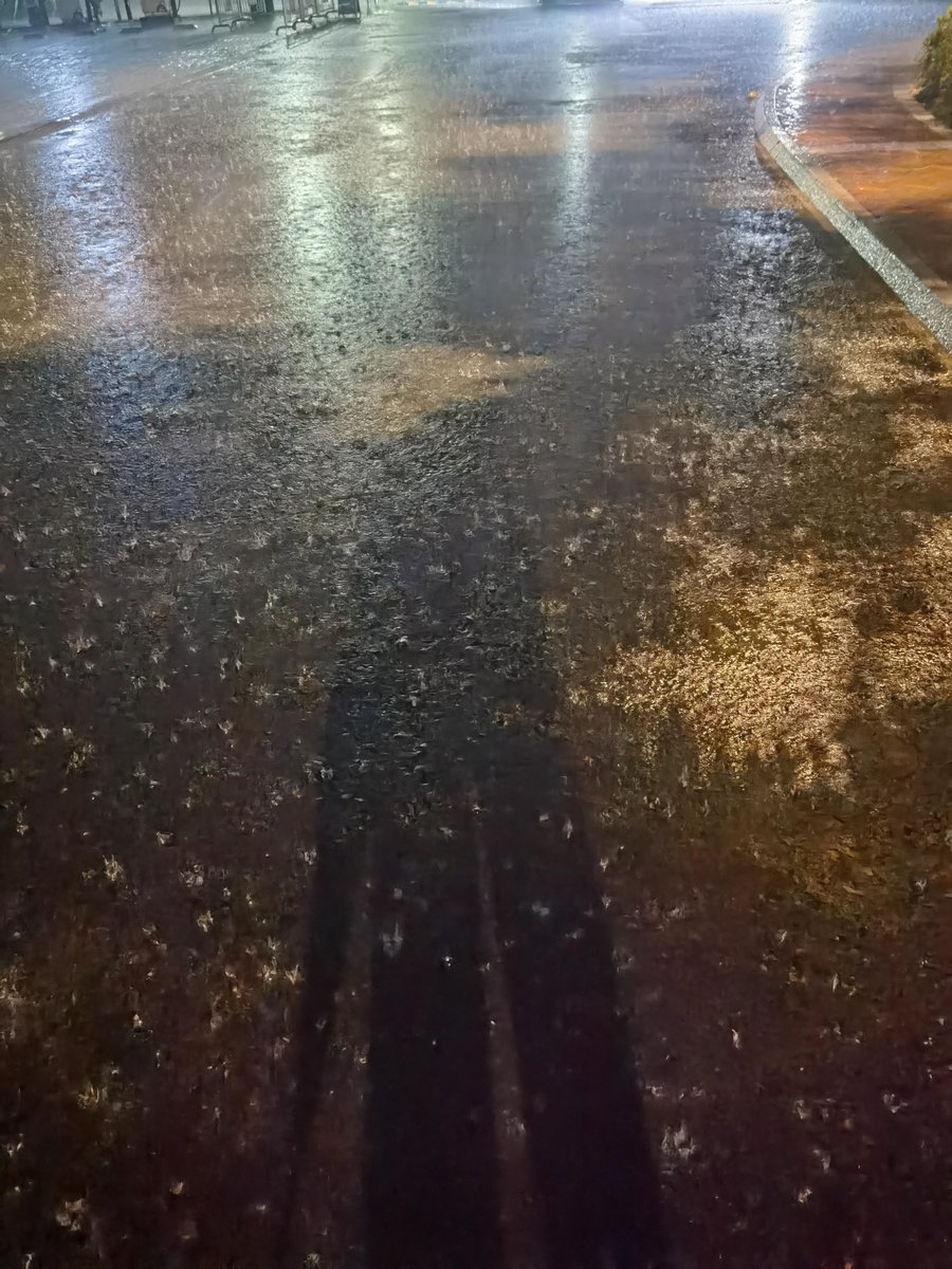 AmandaZangbkig's tweet photo. A stranger helped me pick up all my spilled groceries in the rain, no questions asked—restores my faith in small kindnesses. https://t.co/8f67byXf9W