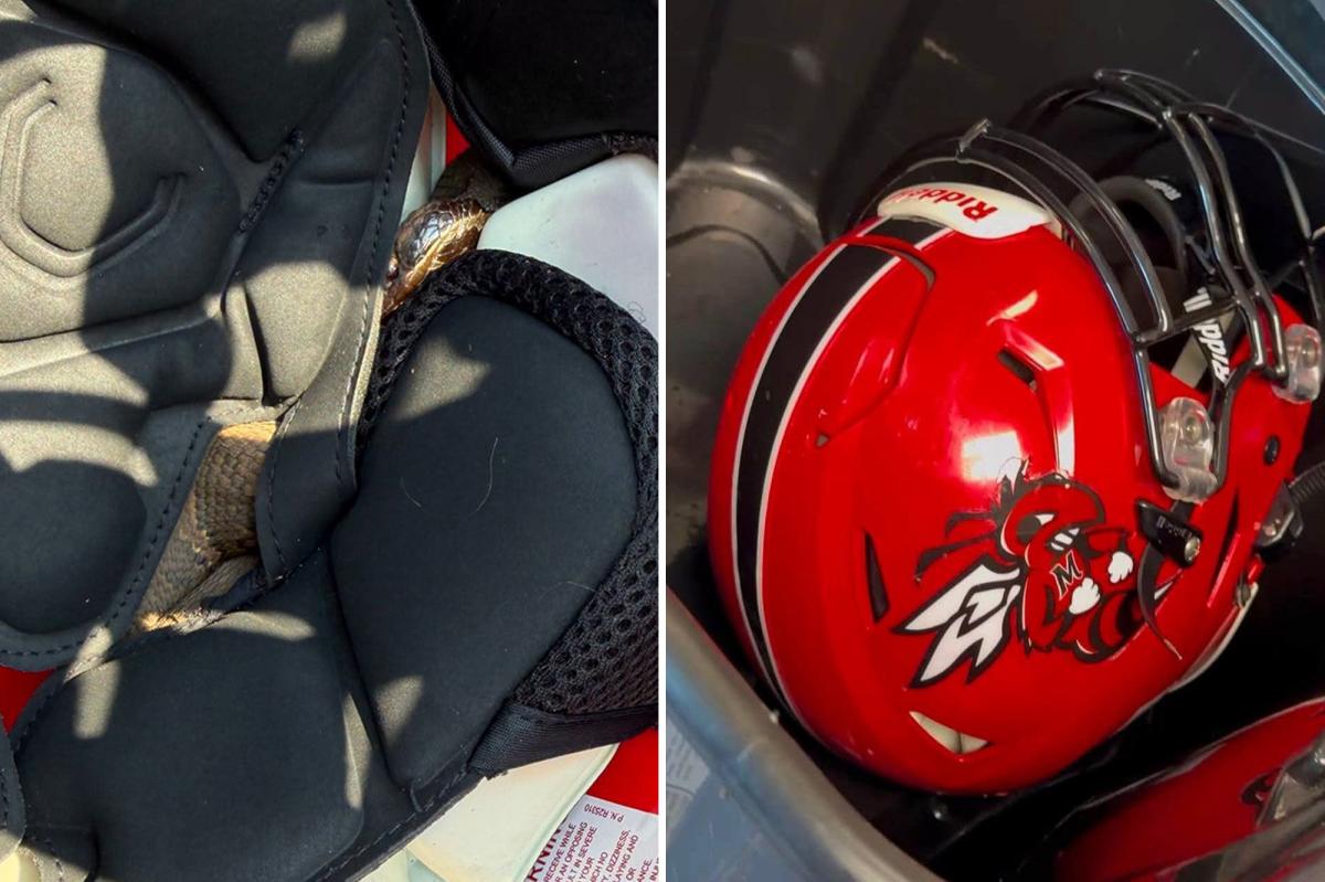 nypost's tweet photo. High school football player practiced for an hour with a snake in helmet - until coaches 'shock' discovery https://t.co/AgfpNQanrH https://t.co/Qknz7bGK7G