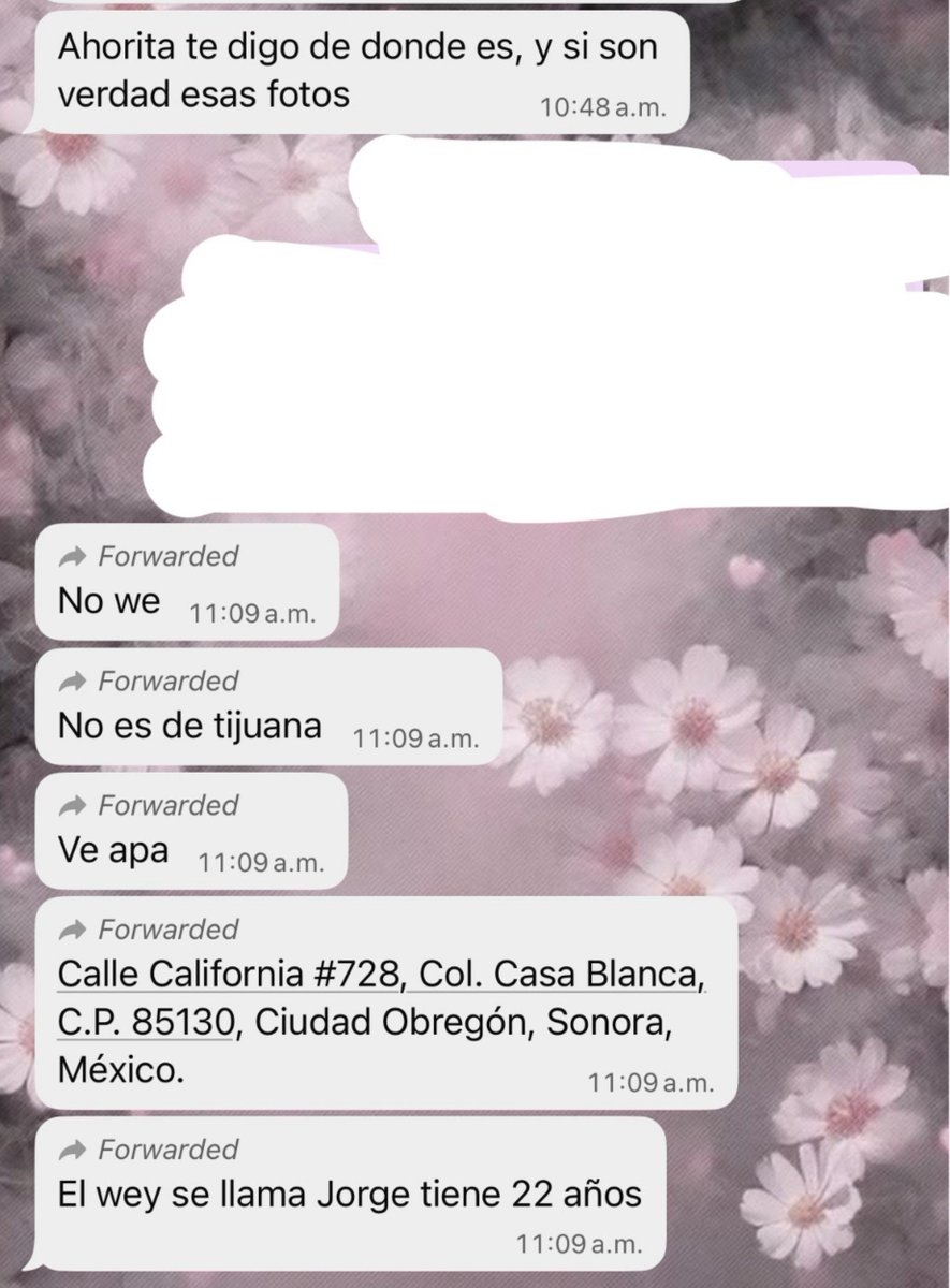 ivanexpon's tweet photo. Estos hijos de perra deben pagar por TODO, Ayúdenme compartiendo a otras redes sociales por favor, estos bastardos no merecen estar a aire libre merecen pena de muerte, arrebatan vidas de gatos inocentes. ;( #ayuda #viralㅤㅤ
#fyp https://t.co/rhrH2o1nYF