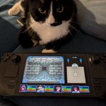 Photo by Tarpit Games (@TarpitGames)