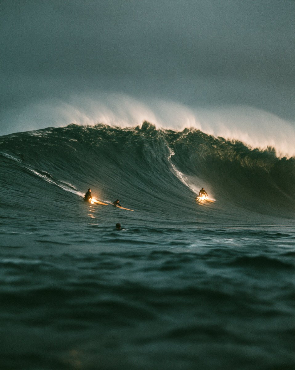 EmrlhInce's tweet photo. wanted to make the ocean feel a little too big 🌊🐳 https://t.co/ofjybgC1nj