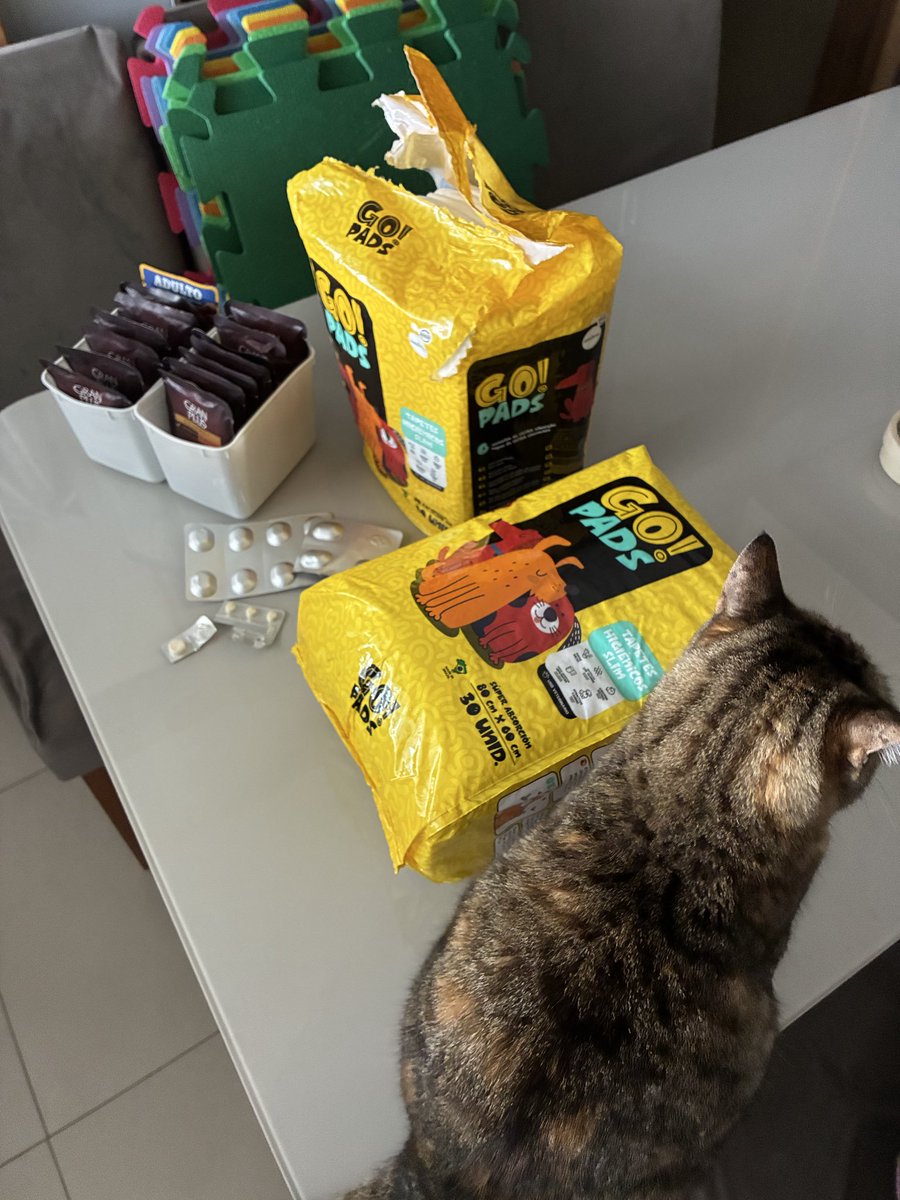CaosComAfeto's tweet photo. Hoje fizemos a avaliação com o fisioterapeuta veterinário.

Boas notícias: ela está sentindo bem a dor superficial em todas as quatro patas, o que indica que a conexão do cérebro e as patas ainda existe. O fisioterapeuta me indicou a quantidade de água que ela precisa consumir por dia, me ensinou a fazer ela urinar, me orientou a oferecer ração molhada além do sachê, me tranquilizou quanto as posições e os movimentos que ela tem feito e me deixou bastante otimista com a grande possibilidade da Bulma voltar a andar normalmente em semanas a meses.

Más notícias: já usei totalmente o limite do cartão e amanhã já vou precisar sacar o que tem na vakinha (se for possível pegar no dia, não sei), para liberar limite suficiente para pagar as 6 primeiras sessões no cartão.

Portanto, eu vou abrir uma exceção e disponibilizar minha chave pix pessoal na DM caso alguém possa contribuir. Não queria fazer isso por transparência e privacidade, mas talvez seja necessário.

#ForçaBulma