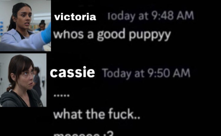 shabunnyazeez's tweet photo. puppy cassie is real https://t.co/m7jBKmUyhv