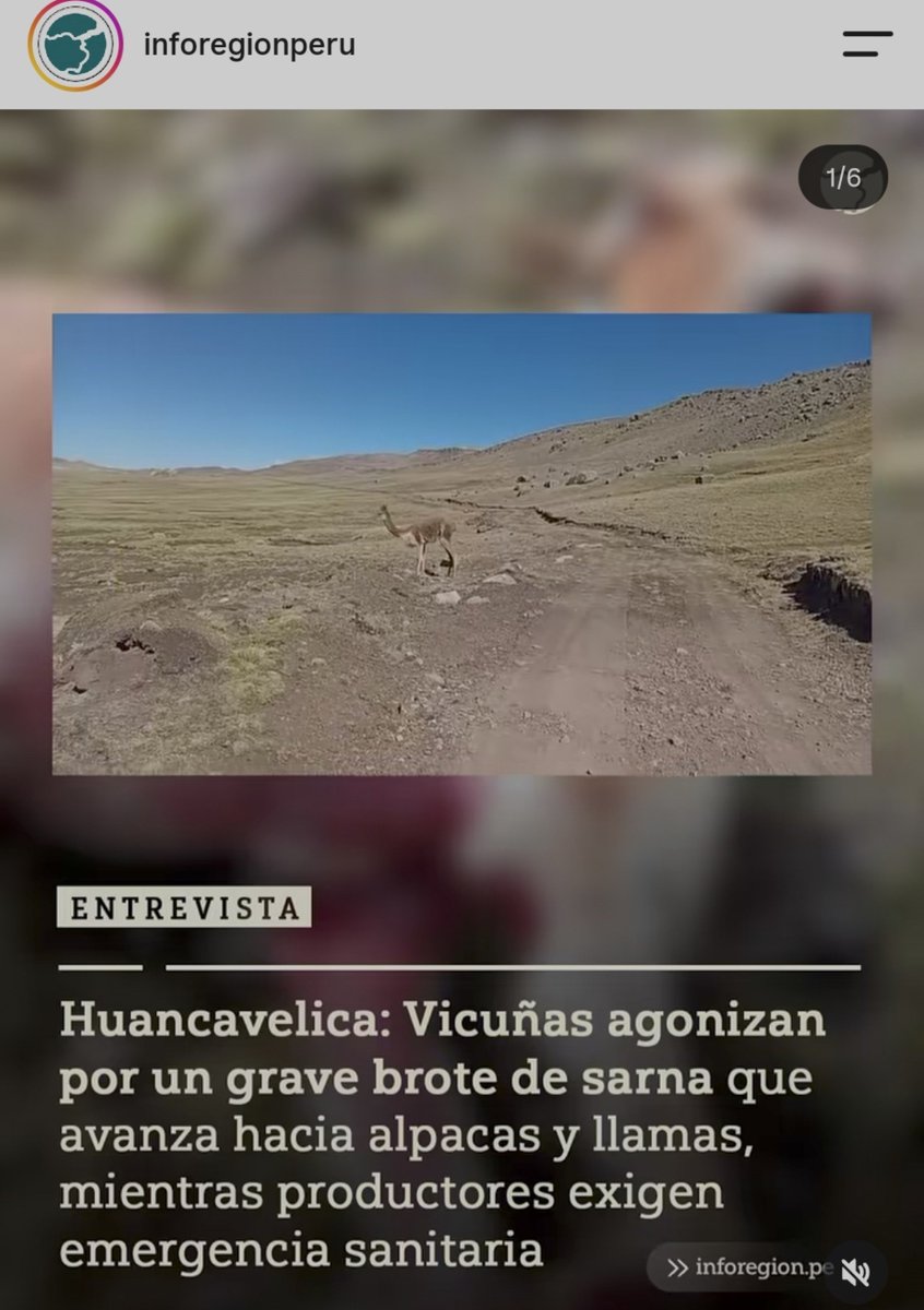 LaSalitadelSin's tweet photo. URGENTE!!!! https://t.co/2UBCohE4OL
