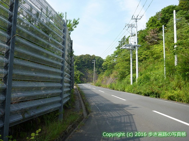 arukihenronosya's tweet photo. I often meet men walking the pilgrimage alone after retirement.
🚶 Route 37-38
🔗 Read this section
https://t.co/dA3F6k5NIs
📍 Kuroshio, Kochi
#ShikokuPilgrimage #Henro #WalkingPilgrimage #Shikoku #WalkingHenro #JapanTravel #Kochi #Kuroshio #高知県 #黒潮町 #幡多郡 https://t.co/8s0PIifHy2