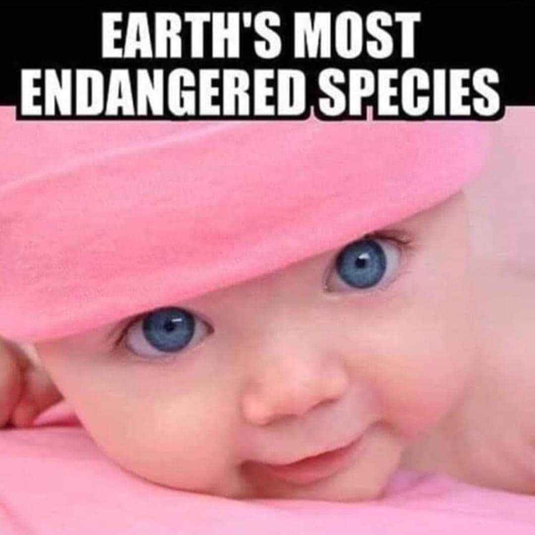 Carolyn43916108's tweet photo. @LifeNewsHQ They must be so proud! https://t.co/1QzAfvXhG4