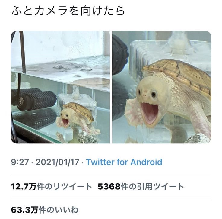 hayakore's tweet photo. https://t.co/PHQBdK1iUW