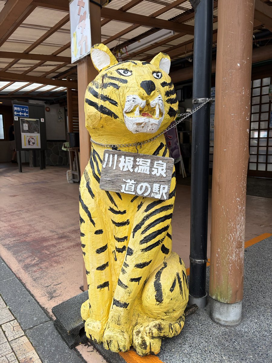 deltoro_18's tweet photo. https://t.co/haNKq0zyn6