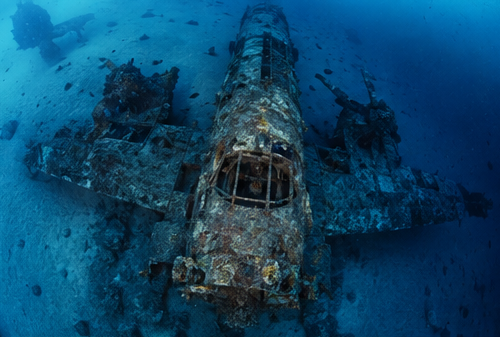 Divemaster_hyde's tweet photo. 朝もやに、海鳥の羽音だけ届いた。

#癒し #海のある暮らし #水中世界 #静寂 #diving #oceantherapy https://t.co/CuheQirXwk