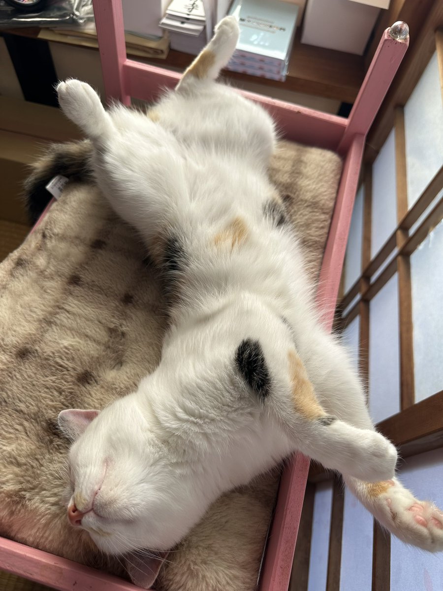 nasu_chourakuji's tweet photo. 起きないという覚悟 https://t.co/o768pWZJpW