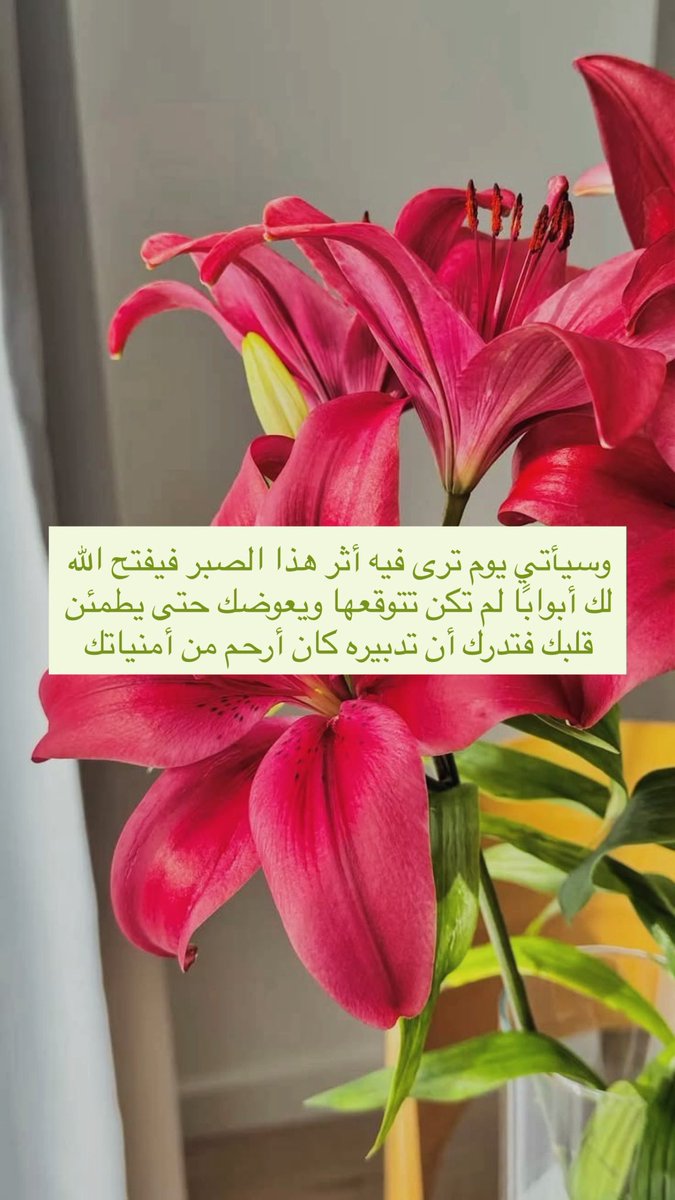 nourama9_'s tweet photo. افتح رسالتك ! 🪔🍂

ويعوضك حتى يطمئن قلبك🤍🍃 https://t.co/SPqwpWUL3v