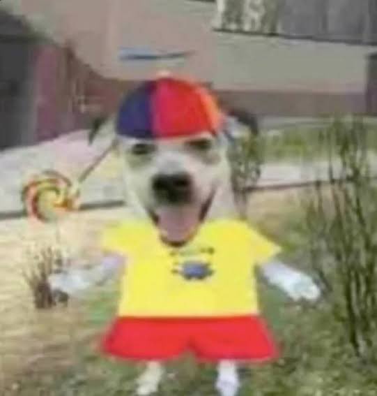 eduardapy's tweet photo. fazendo uma matéria q a p1 é fazer um jogo no roblox e a p2 é fzr um filtro no tiktok https://t.co/vSUT9xahBv