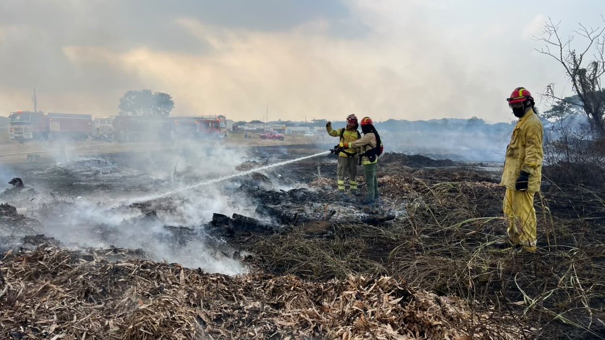 BomberosGYE's tweet photo. Un estimado de 12 hectáreas de vegetación fueron afectadas por el fuego. En la emergencia colaboraron 60 bomberos. Al momento, la novedad está controlada. https://t.co/wwRUDYmCEd