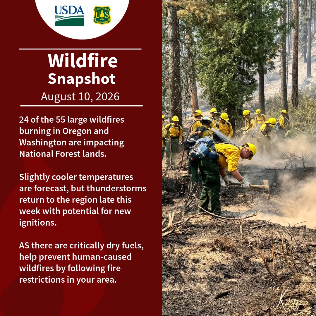 ForestServiceNW's tweet photo. 24 of 55 large wildfires burning in OR &amp; WA are impacting National Forest lands.
Slightly cooler temperatures are forecast, but thunderstorms return late this week with potential for new ignitions.
Help prevent human-caused wildfires by following fire restrictions in your area. https://t.co/wJnqHOdoAx