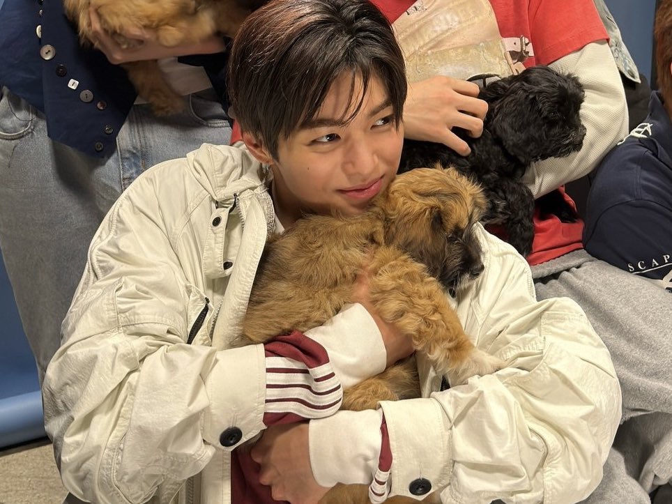 tetecoidezinha's tweet photo. keonho with animals <3 https://t.co/3Lk3B4GRTe
