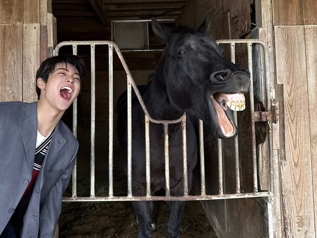 tetecoidezinha's tweet photo. keonho with animals <3 https://t.co/3Lk3B4GRTe