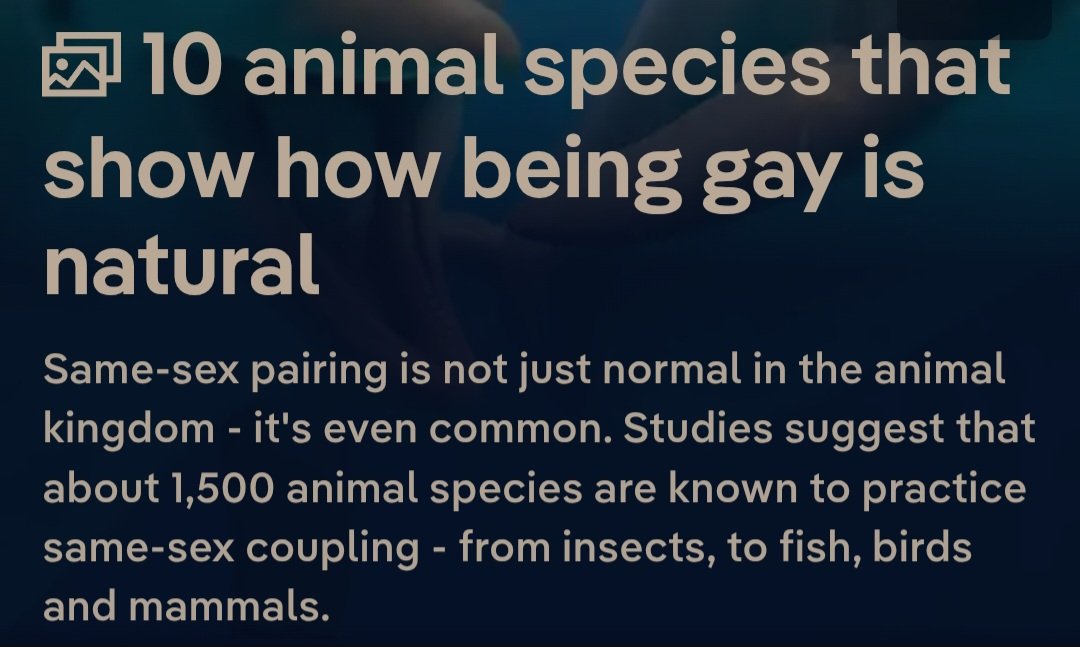 prowler_bot's tweet photo. @hegelonhishead2 @PamphletsY This is like talking to a brick wall, animals don't apply anything to themselves, but they still can fit human definitions and categories meant for them. If an animal bonds with an animal of the same sex for life it is objectively homosexual. https://t.co/jQQhNSwDWs