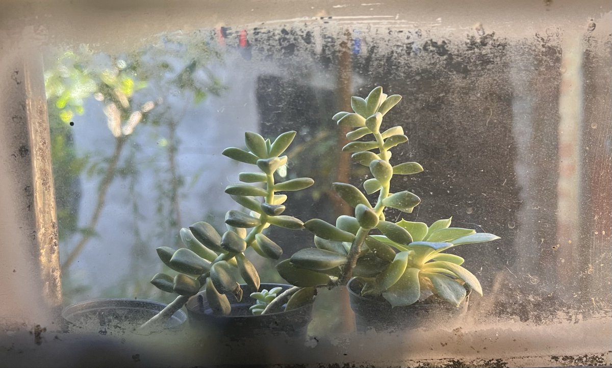 raphasthoughts's tweet photo. window https://t.co/IFxLWLzR2j