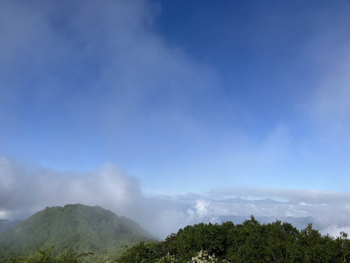 Kalb1ee's tweet photo. この夏の思い出Day2 https://t.co/TdcpFF67Sa
