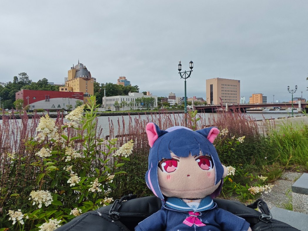 Wendloss's tweet photo. 釧路川
いい雰囲気 https://t.co/6IuAk5KIRh