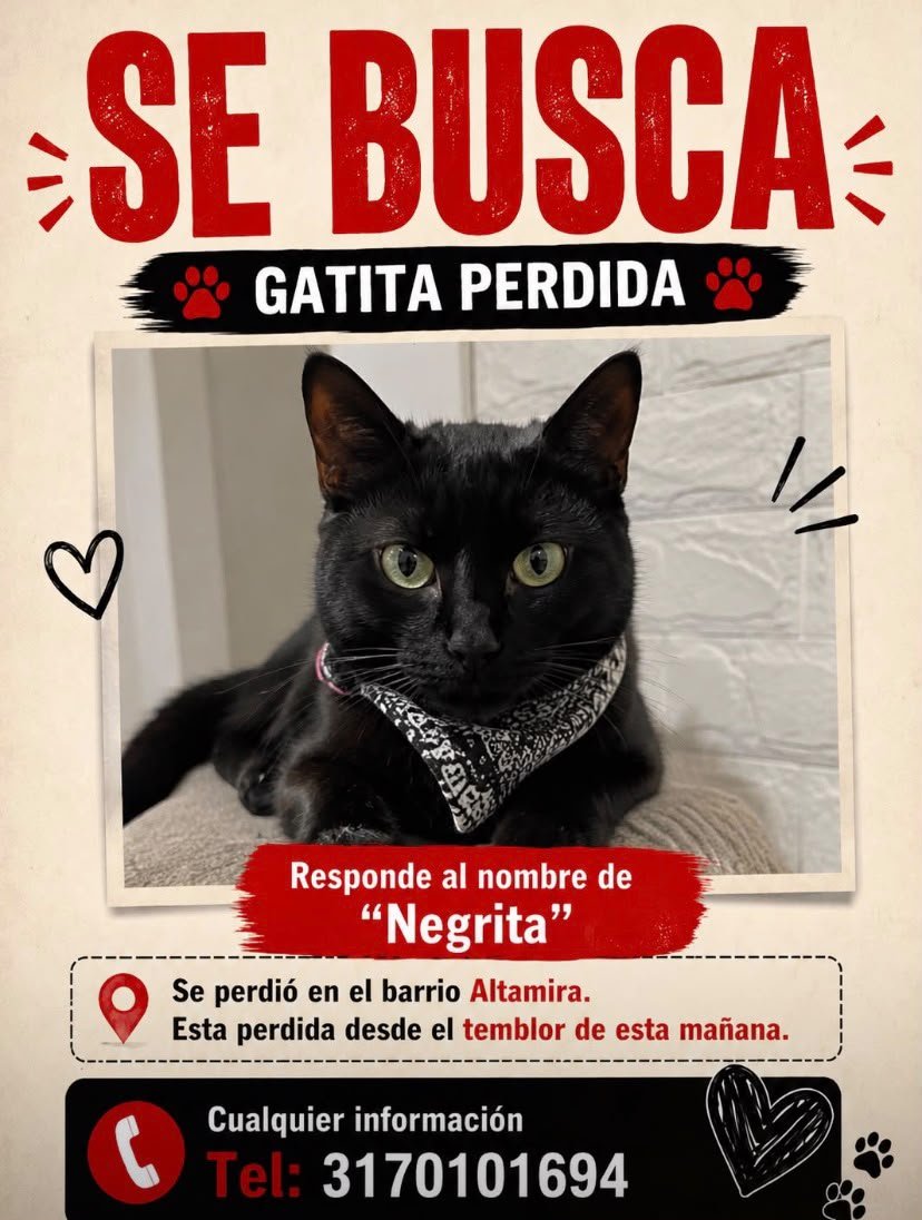 Artemisa_libre's tweet photo. 🚨 GATA PERDIDA EN CALI 🚨

Se busca a La Negrita, una gatita negra que se perdió esta mañana. Salió corriendo asustada cuando su dueña abrió la puerta por el temblor.

 ¡Ayúdanos a encontrarla! Si la ves o sabes algo, por favor avisa de inmediato. 

Se agradece compartir. 🙏🐾 https://t.co/c21mJzGdkW