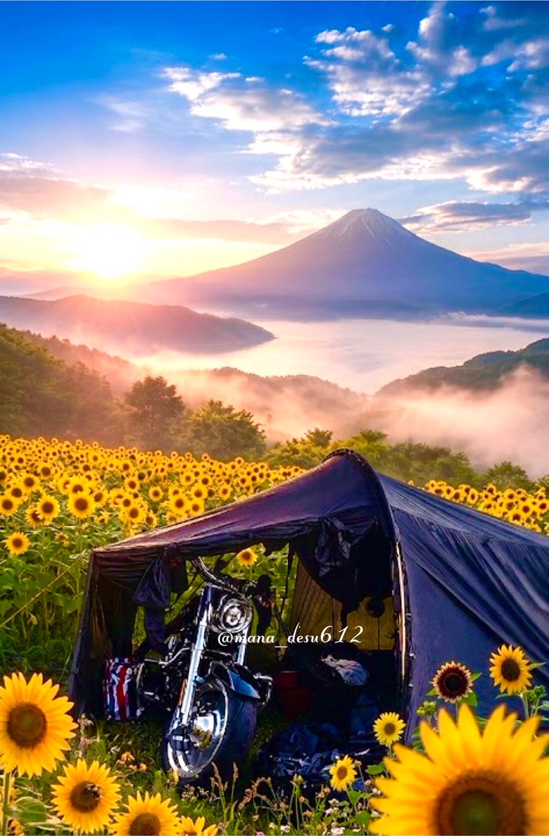 mana_desu612's tweet photo. 🌷🌸🏍
*
お  は  よ  う  ご  ざ  い  ま  す
*
朝から山の日(ﾉ´³` )ㄘゅ〜ずでー💋💄
世の中は夏休み警備👮🏻ですかね⁉️祝日㊗️山の日はもらったスイカウロス🍉にてスイカ割りしようかな🥺︎❣️ベビ👶💕たちと楽しく
(/｡'(ｪ)')火曜もよろしクマ🧸🎀 

https://t.co/VxNJdScKLQ https://t.co/TYOjrGA2gX