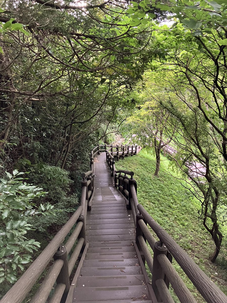 IkuoOkada's tweet photo. 朝散歩♪
丹後沢公園(=^x^=) https://t.co/NAk1F0nJeH