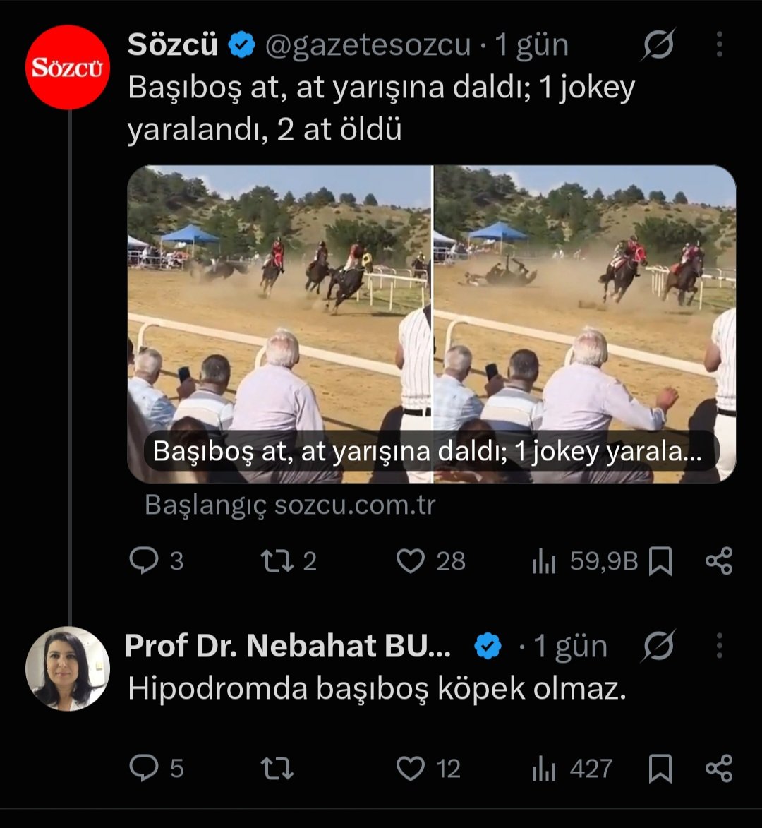 jupi_tr's tweet photo. @BulutGulcuN @kutluinsanogluH İyice okumak kısmına katılıyorum 😂 Başıboş at ! Ba şı boş AT ! https://t.co/0meuA6UeLd