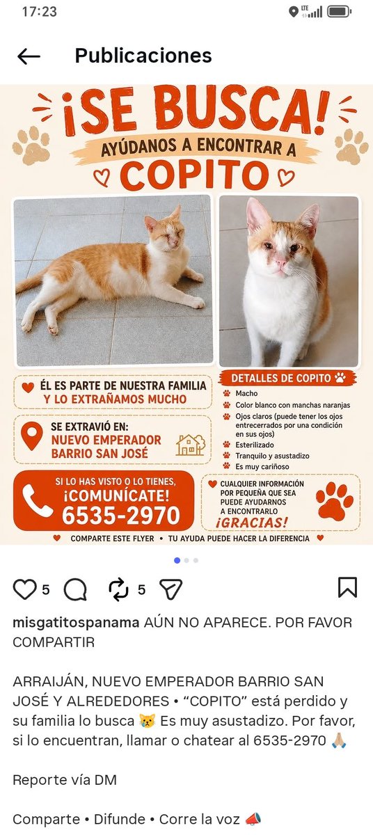 gnacelys's tweet photo. @labigottes @sarat1165 @SeferinaMelgar @edithfirst22 @dayra_icaza @fundasispma @heramito @ivetteodalys @LP19732 @PatasyPies @corazonconhuell @PatasPanama https://t.co/vXQWra62SH