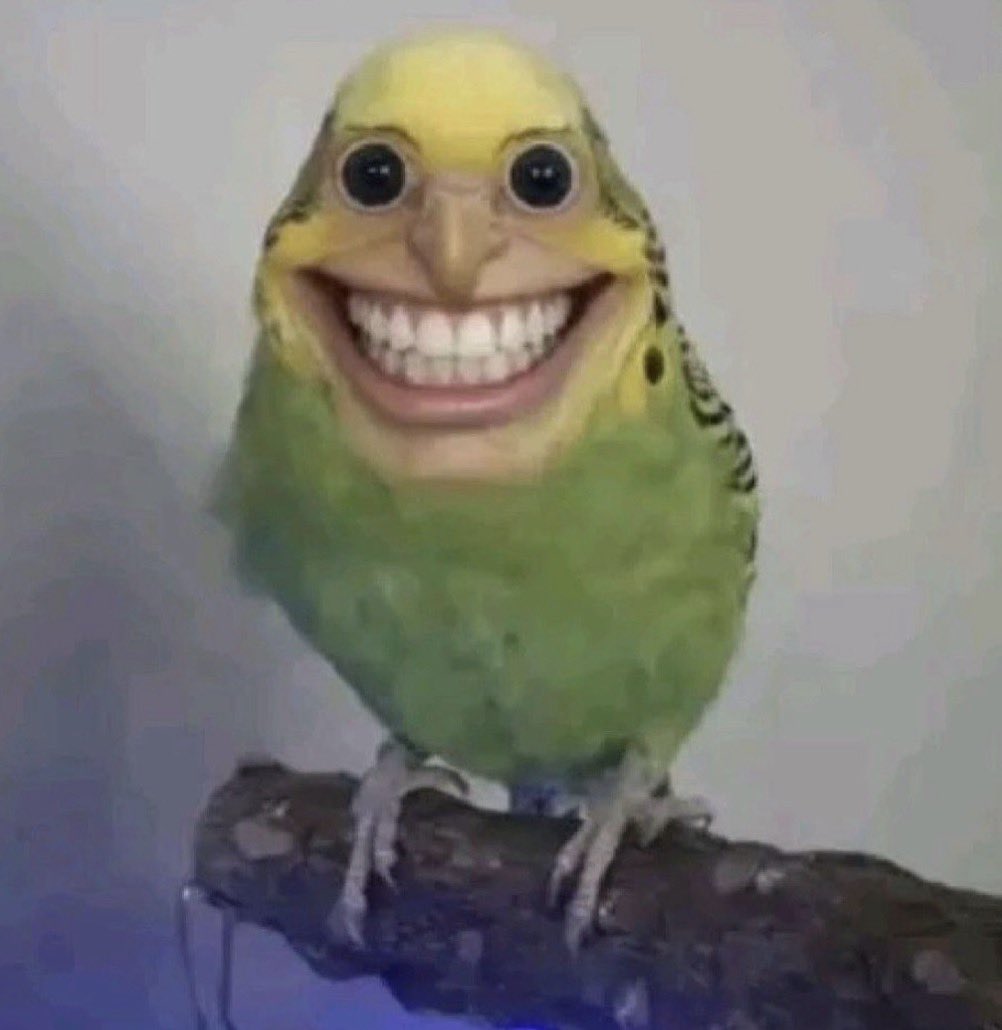 Relampg0Marquin's tweet photo. @OnlyFeias Só mais um gay , sendo gay https://t.co/zUjkC1S5BP