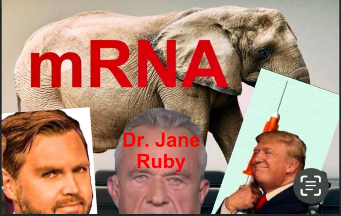 RealDrJaneRuby's tweet photo. Trump‘s Theatre today to “end Universal vaccines“ is yet another red herring in his complicity in the mass genocide operation against the people of the United States

Notice how the mRNA has not been touched and in fact a new one just got approved three days ago https://t.co/qkHxdtO4mt
