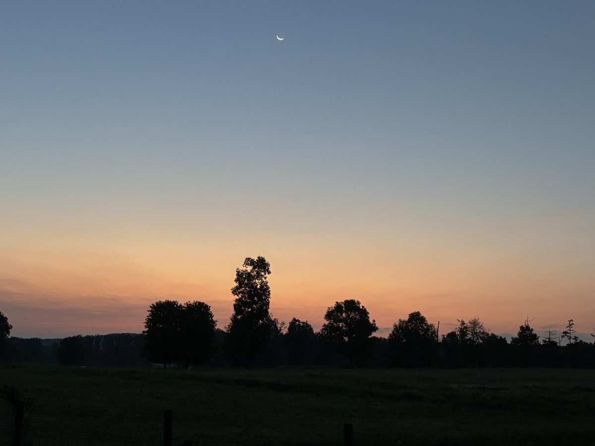 LouisaReid27382's tweet photo. Why do I love the 1st rising of the #WinterConstellations?
Because once they fade in the face of the dog-days summer sun I can’t pretend it’s not blistering hot and I’m smothered in a humidity as clingy as a friend who has no concept of personal space.🌌🌠
#5amwritersclub
#Stars https://t.co/CUd6p9iJXg