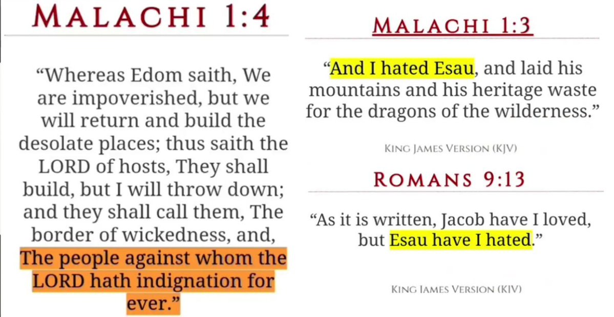 59SouthLee's tweet photo. Once you understand who modern Jews are, the entire world makes sense

They are the Biblical villains, the only tribe which God said He hates with an eternal hatred and will wipe out of existence

They are the Edomites, a tiny despised tribe that merged with Judea in 120 BC

Obsessed with reclaiming the birtheight, they've been known as none other than Jews ever since, but as Jesus said" "they are not, and do lie"

No other race on Earth would chase their enemies children to a foreign hospital just to revel in their misfortune, this is demonic, this is inhuman, this is the evil fruit of Edom

It's a historical fact they used to openly admit in their own encyclopedias and almanacs, but as soon as Palestine was in their grasp they swept it under the rug

Know this White man, you may think it's a stretch, but know that every man of intellect and discerment that researched this matter always came up with the same conclusion: Jews are Edomites, there's no way around it 

And no wonder because the satanic Idumeans have taken this charge of God's most hated and applied it to all White people, seeing Jesus as the God of Edom,  never mind Edom is miniscule and hated while Jesus goes out of His way to make it known He's going to slay them all, they still delude themselves with their inversion