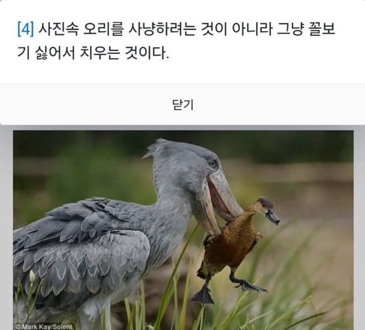 gamsungdomm's tweet photo. 아 좀 나오라고 https://t.co/UPIJHnsyXD