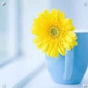 muhdwan96's tweet photo. We continue to push past training hurdles, surmount technical challenges, and endure physical exhaustion, steadily advancing toward loftier football ambitions.🌄Stow away the summer wardrobe—the season has drawn to a close. https://t.co/FK9EL7XdwB