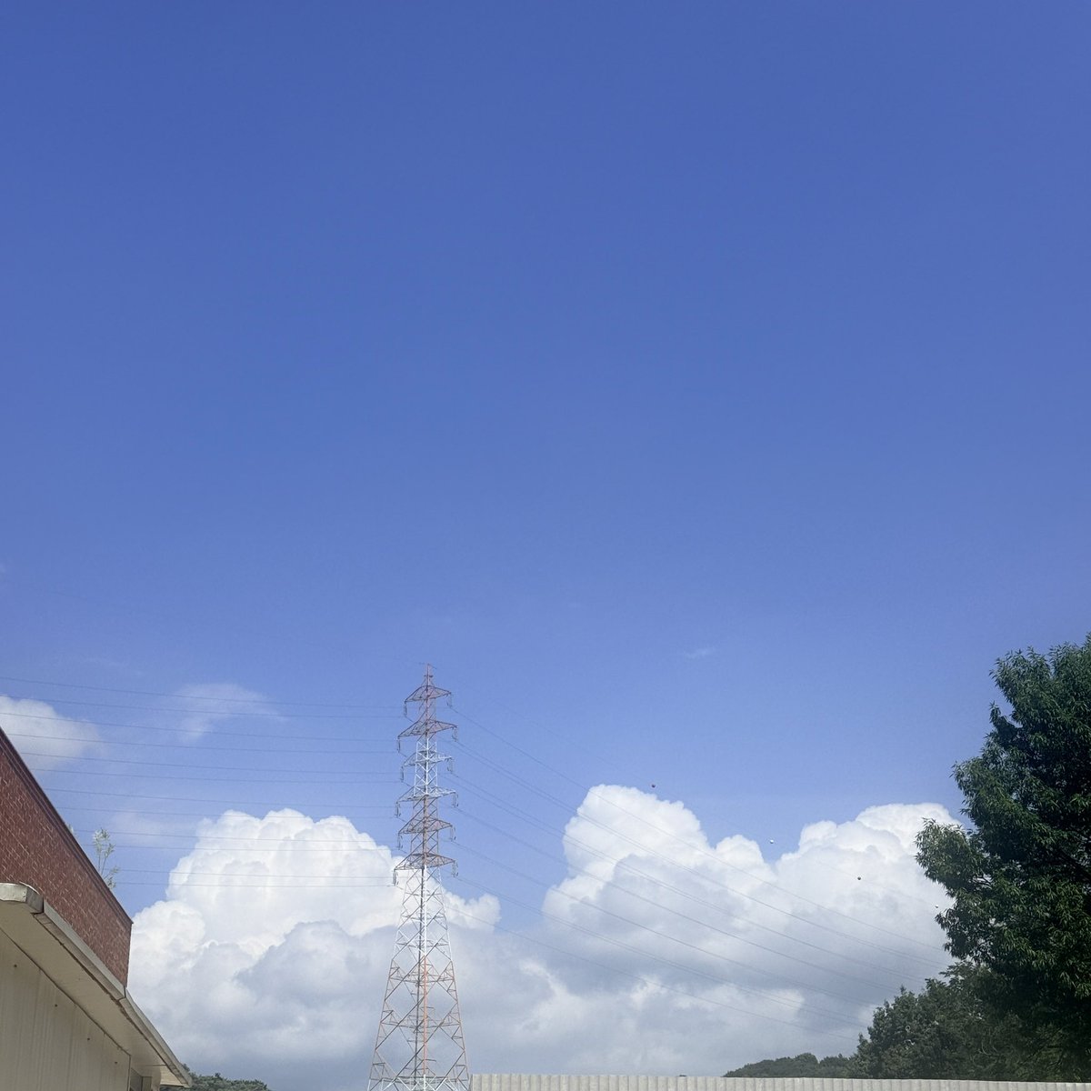 elxdorphin's tweet photo. ☁ https://t.co/VaO6LPEm3J