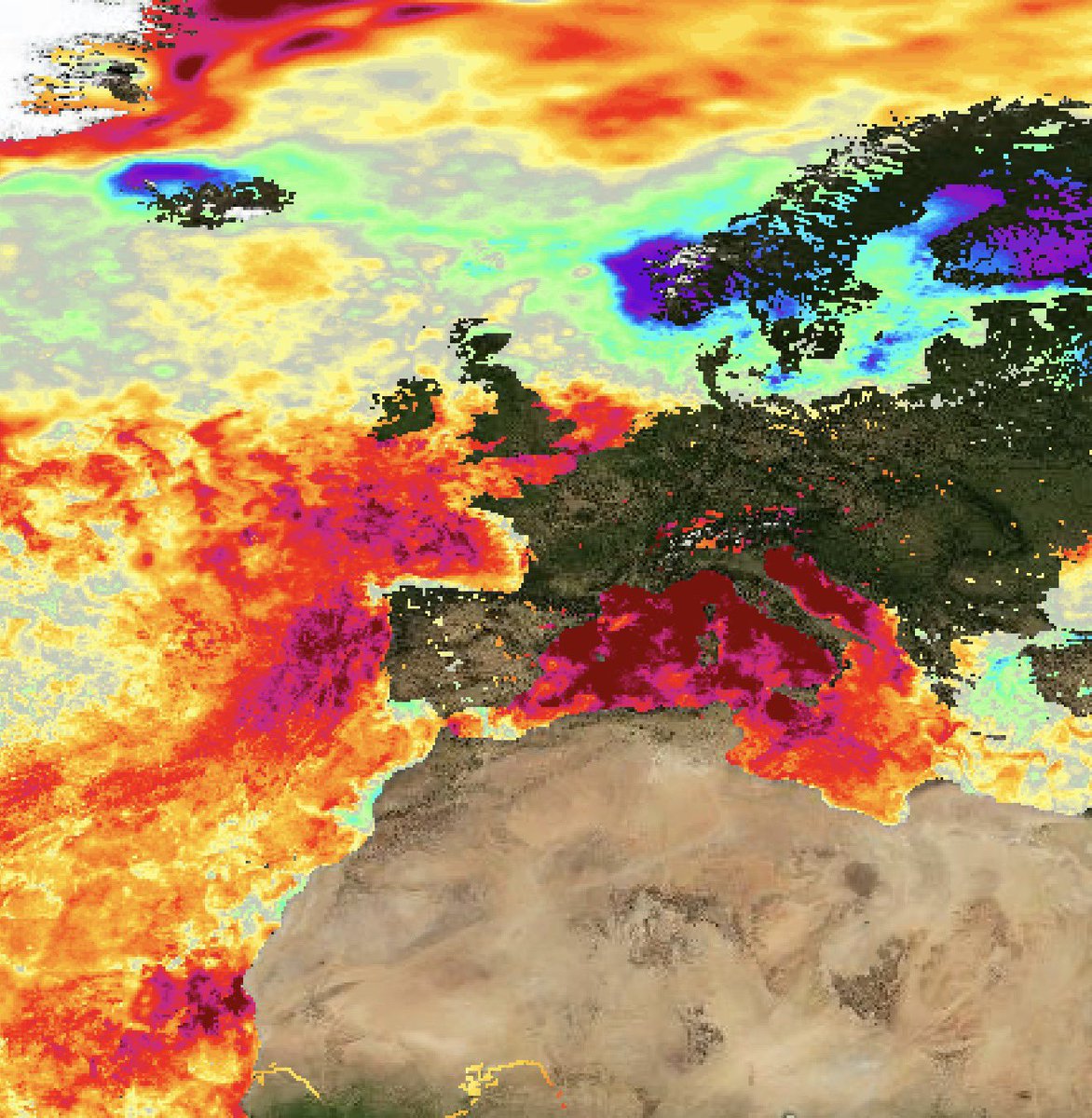 LVEParusia's tweet photo. Tres imágenes. Una sola realidad.
El océano global está en territorio desconocido.
El Mediterráneo arde.
El Pacífico desarrolla un Super El Niño de manual.
Y todo al mismo tiempo.
Sigue... https://t.co/2Wqiqo0LTK