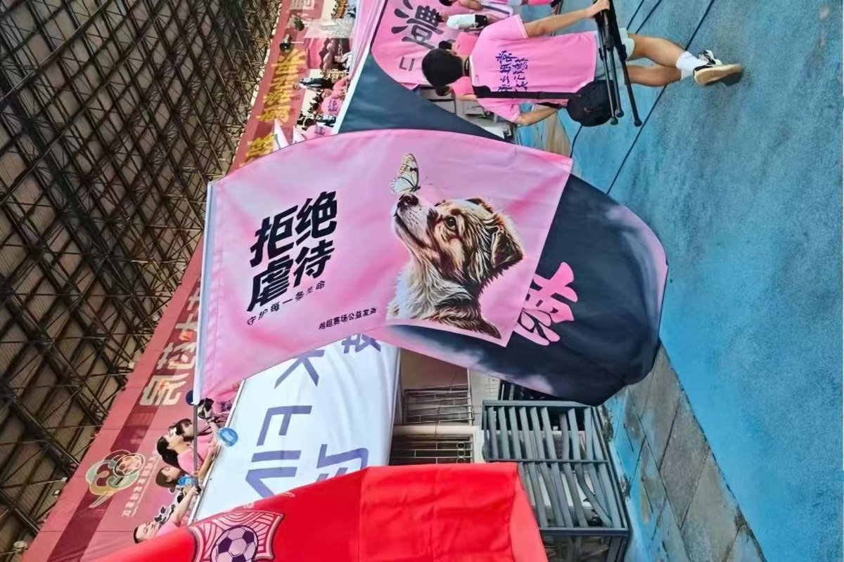 ayakan0922's tweet photo. #中国
湘超

スゴい。
サッカーの試合会場😭

日本のほうが動物愛護後進国に思えてしまう🥲

#旺旺 https://t.co/yhm7idXa5w